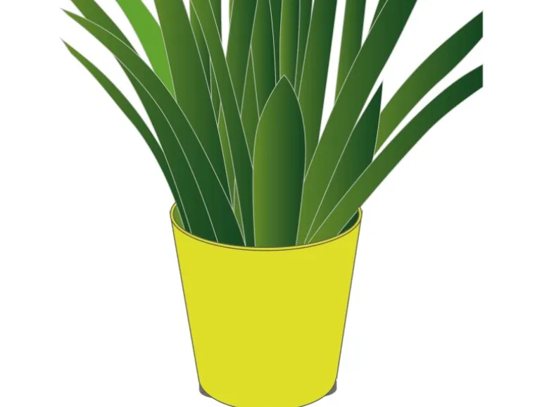 Wagner Topffüße Set Selbstklebend Transparent Ø 16 mm