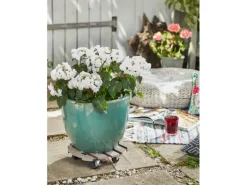 Wagner WPC Pflanzenroller GH 0536 Ø 29 cm Taupe FSC®