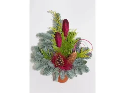 Waldtopf Nobilis Topf ca. 12 cm Erika