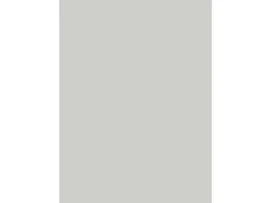 Wandabschlussleiste Plus 410 x 3 cm Hellgrau (A402 C)