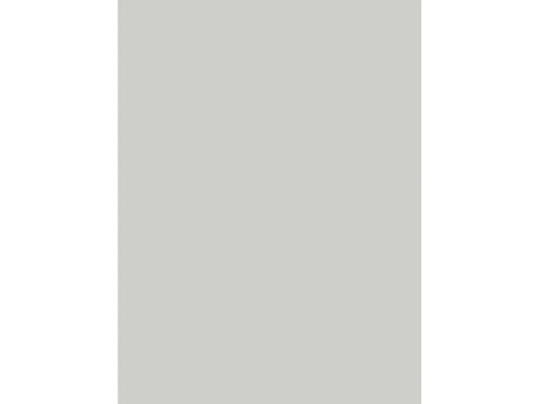 Wandabschlussleiste Plus 410 x 3 cm Hellgrau (A402 C)