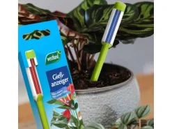 Westland Gießanzeiger Grün 26 cm