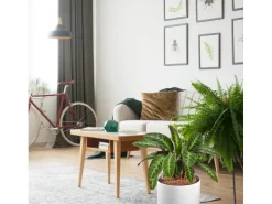 Westland Tongranulat Blähton 45 l