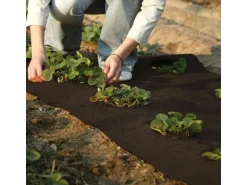 Winterschutz Kokosmatte Dunkelbraun 50 cm x 150 cm