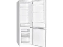 Wolkenstein Kühl-Gefrierkombination KGK280D Inox EEK: D